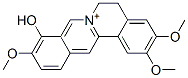 Palmaturbine Structure
