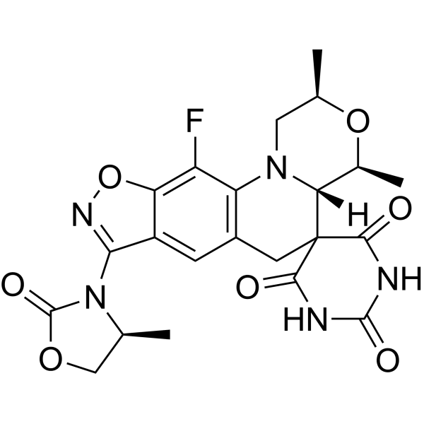 Zoliflodacin Structure