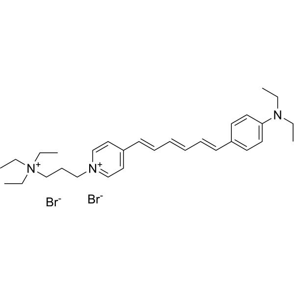 FM4-64  Structure