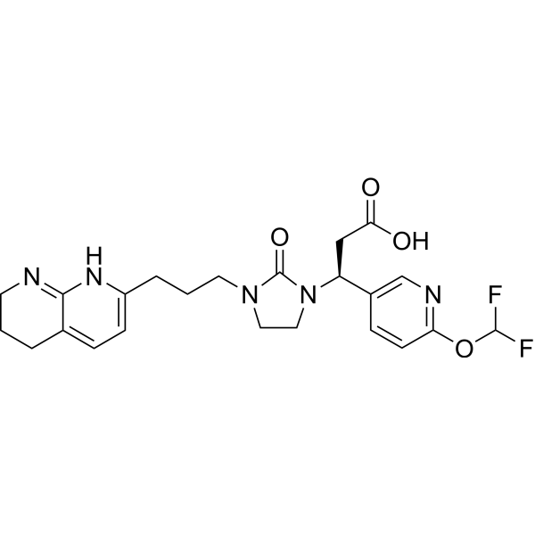 SF0166  Structure