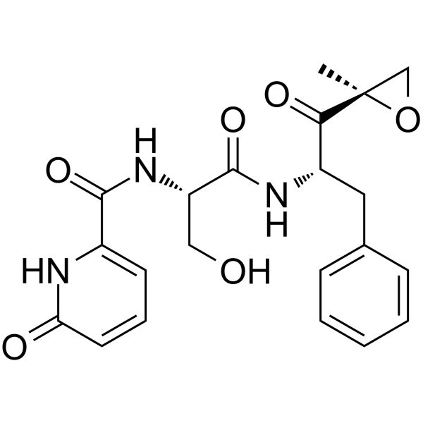 KZR-504  Structure