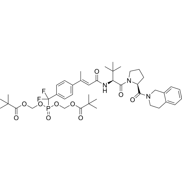 PM-81I Structure