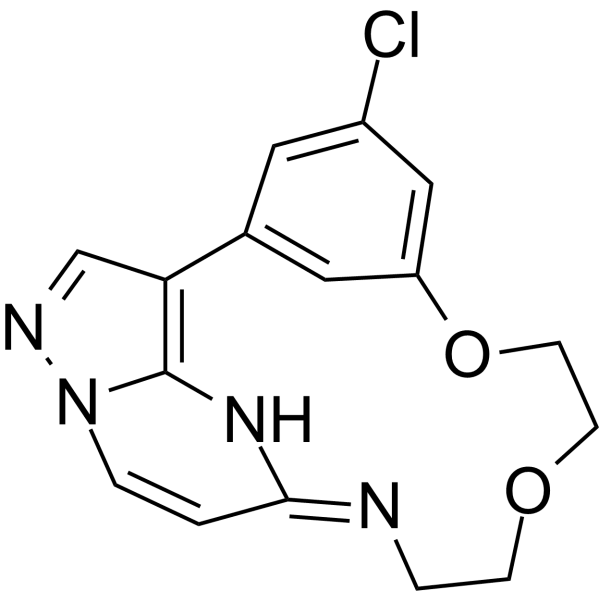 OD36  Structure