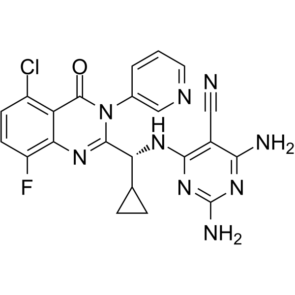 GS-9901  Structure