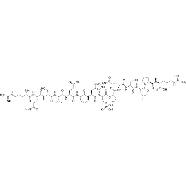 Aquaporin-2 (254-267), pSER261, human Structure