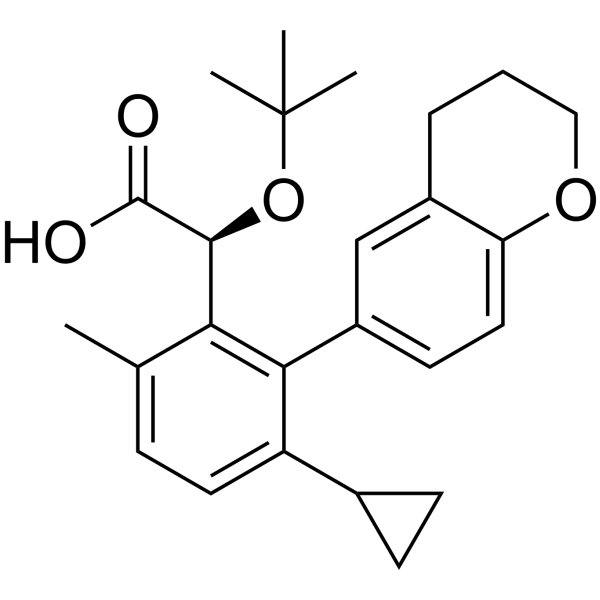 BDM-2  Structure