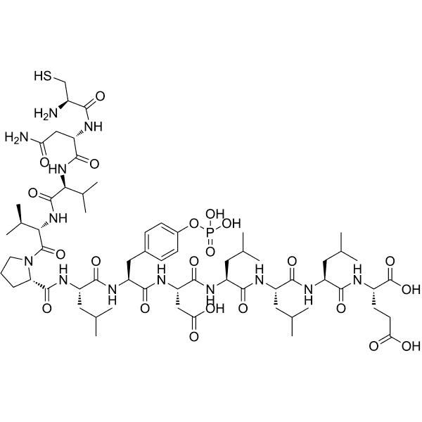 Yp537 Structure