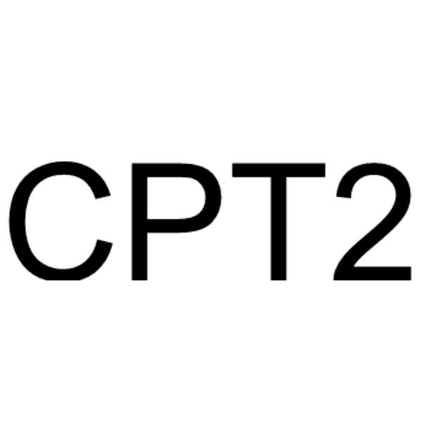 CPT2 Structure