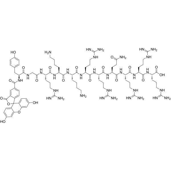 TAT (47-57), FAM-labeled Structure