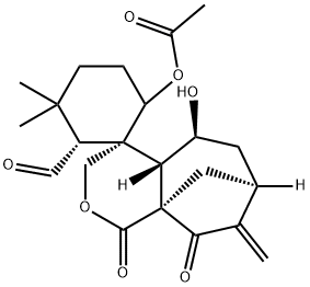 Isodonal Structure