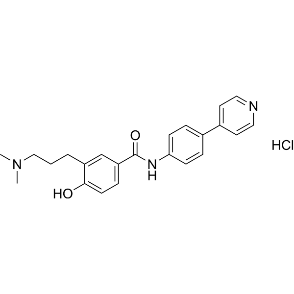 GR 55562 hydrochloride Structure