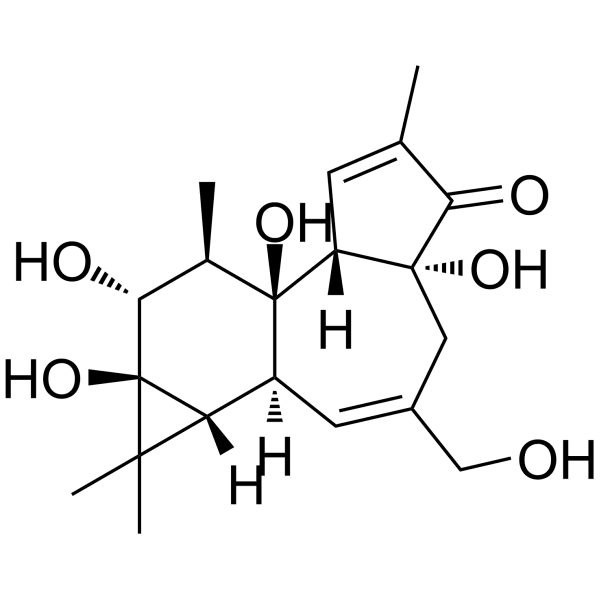 Phorbol Structure