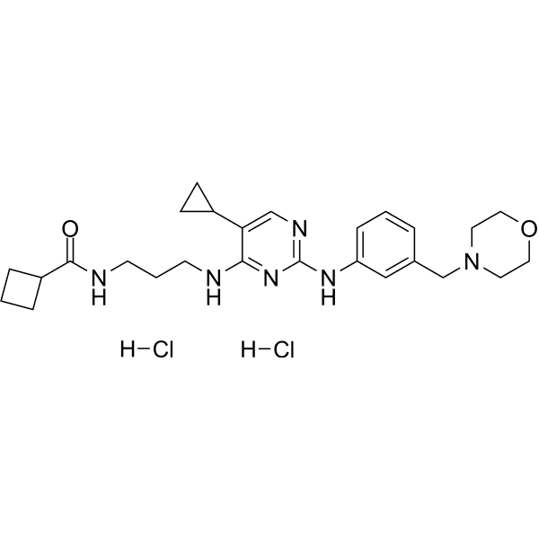 MRT67307 dihydrochloride Structure