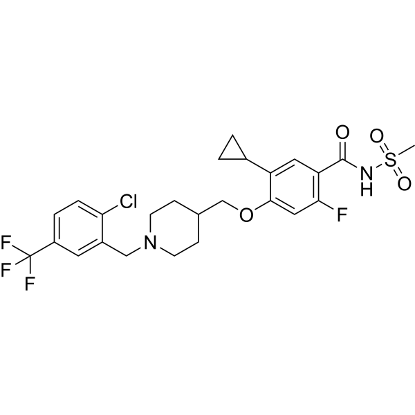 GX-201  Structure