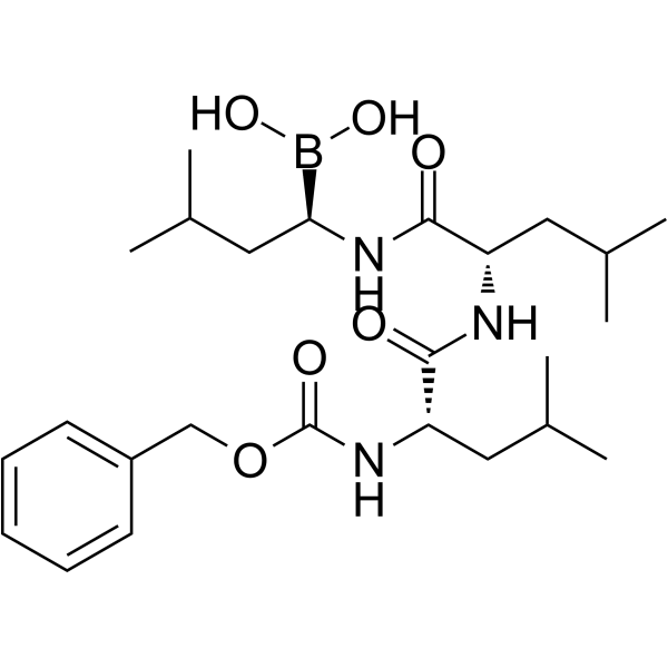 MG-262  Structure