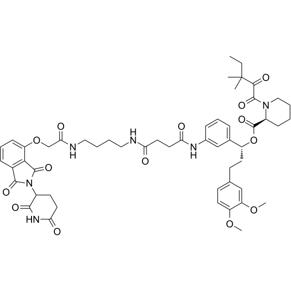 dFKBP-1  Structure