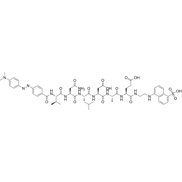 DABCYL-VNLDAE-EDANS Structure