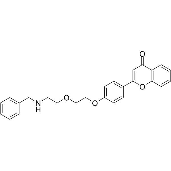 FM04 Structure