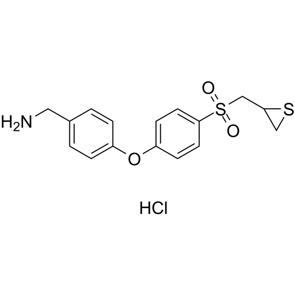 ND-336  Structure