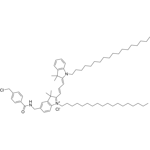 CellTracker CM-DiI Structure