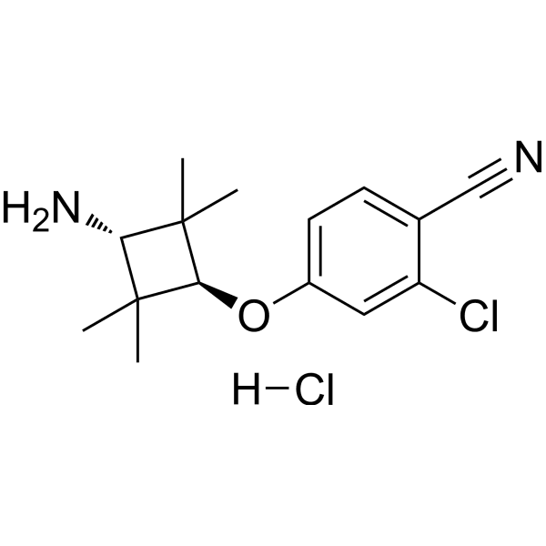 AR antagonist 1 hydrochloride Structure