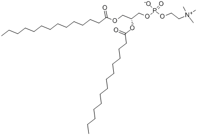 DMPC Structure