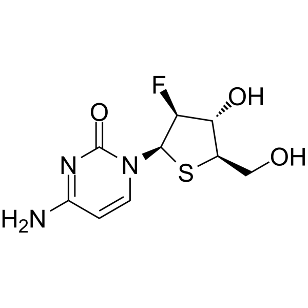 FF-10502  Structure