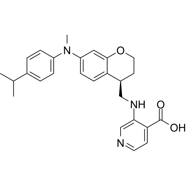 Zavondemstat Structure