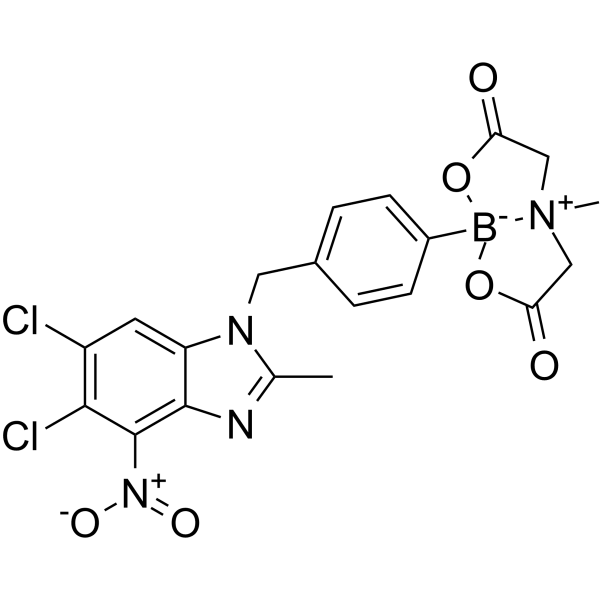 TH1217 Structure