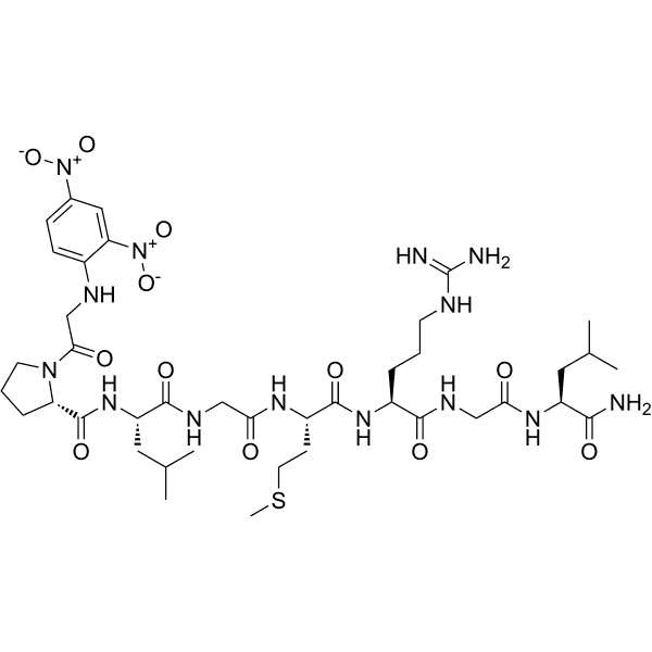 MMP-13 Substrate Structure