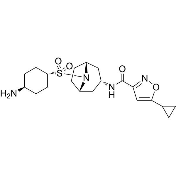 EPZ028862  Structure