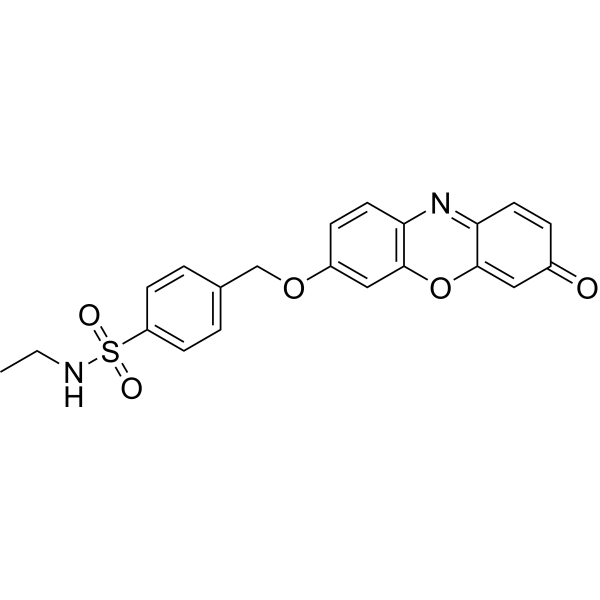 WRG-28  Structure