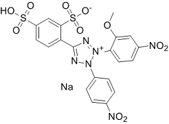 WST-8 Structure