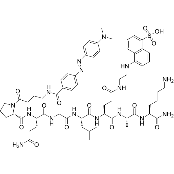 TNO211 Structure