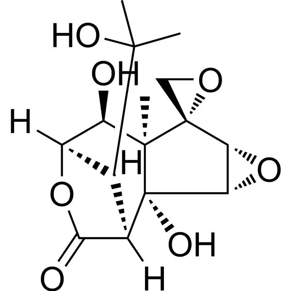 Isohyenanchin Structure