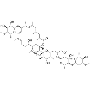 Apoptolidin  Structure
