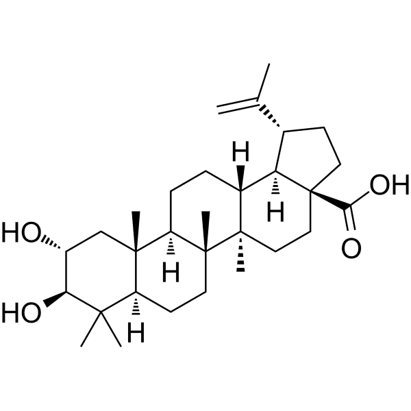 Alphitolic acid Structure