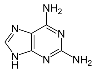 2,6-Diaminopurine Structure