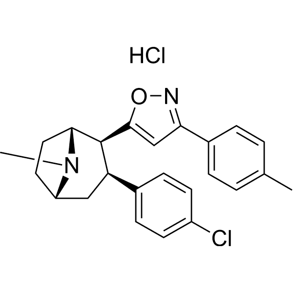 RTI 336 Structure