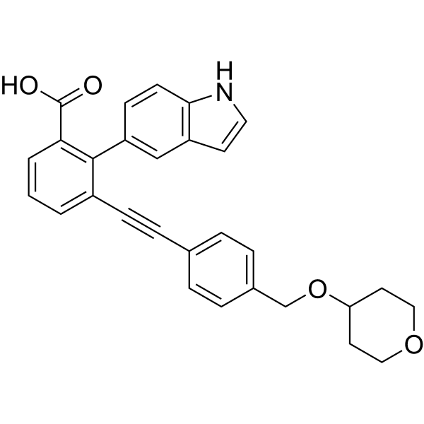 VK-2019  Structure