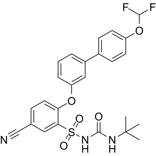 NTP42  Structure