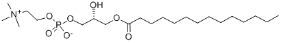 14:0 Lyso PC Structure
