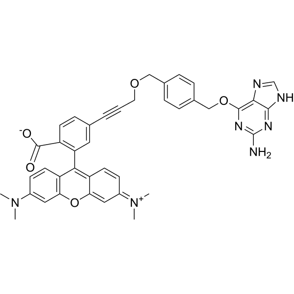 PYBG-TMR  Structure