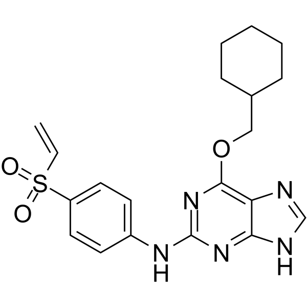 NU6300  Structure