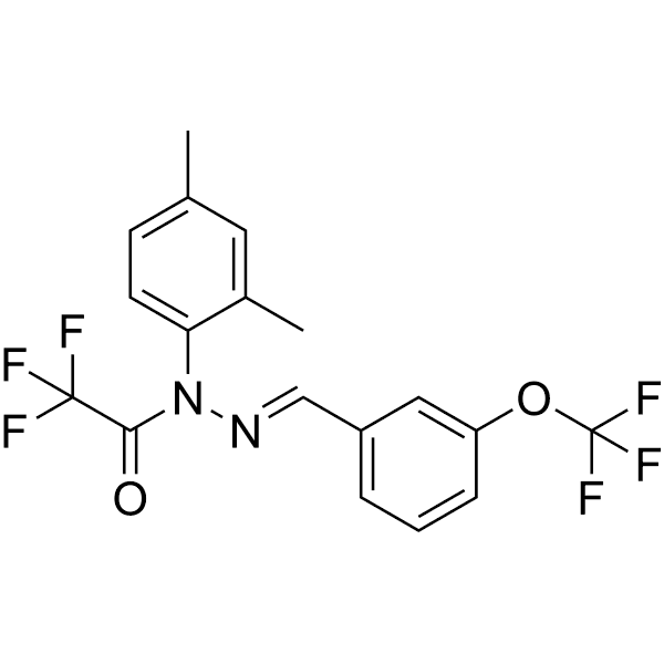 CAD031  Structure