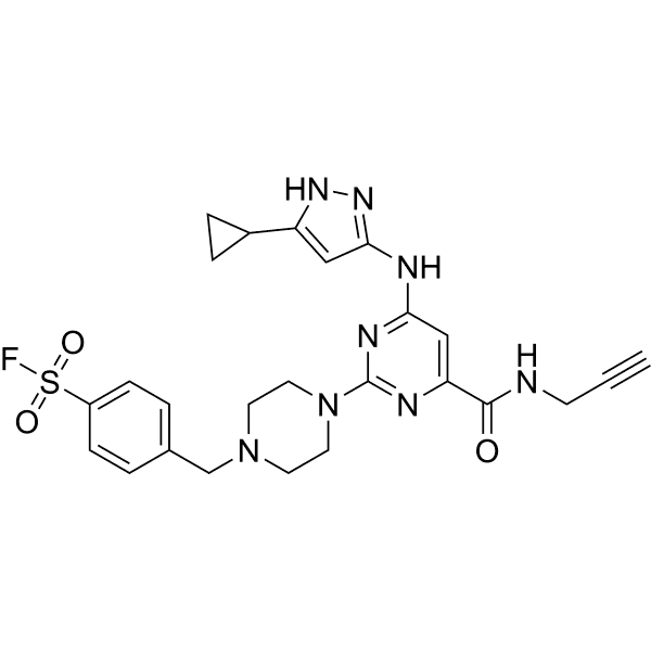 XO44 Structure