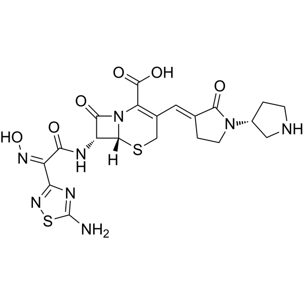 Ceftobiprole Structure