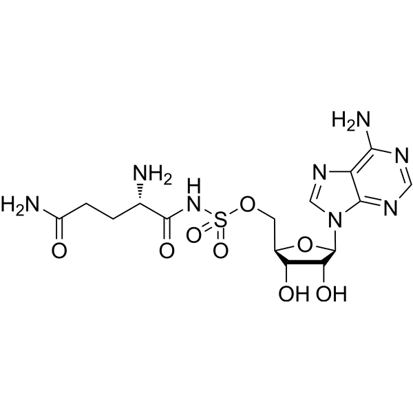 Gln-AMS  Structure