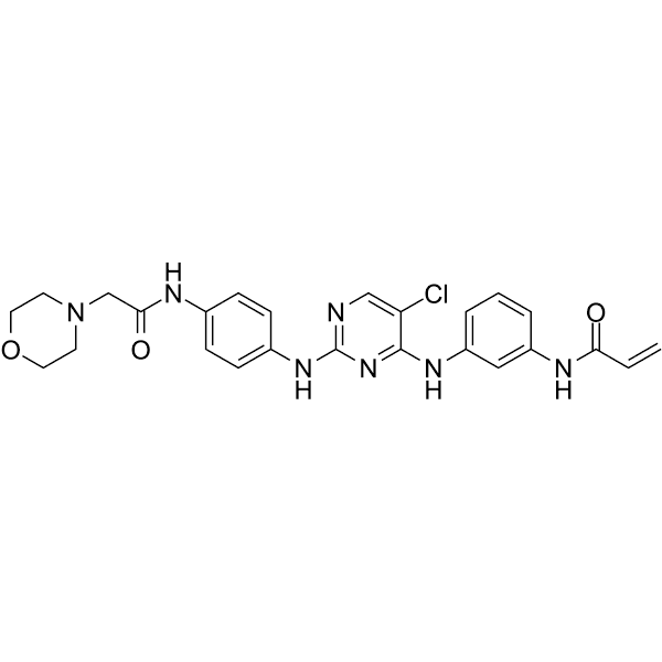 DPPY Structure