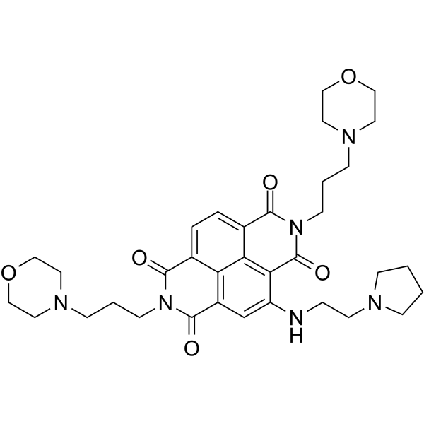 CM03  Structure